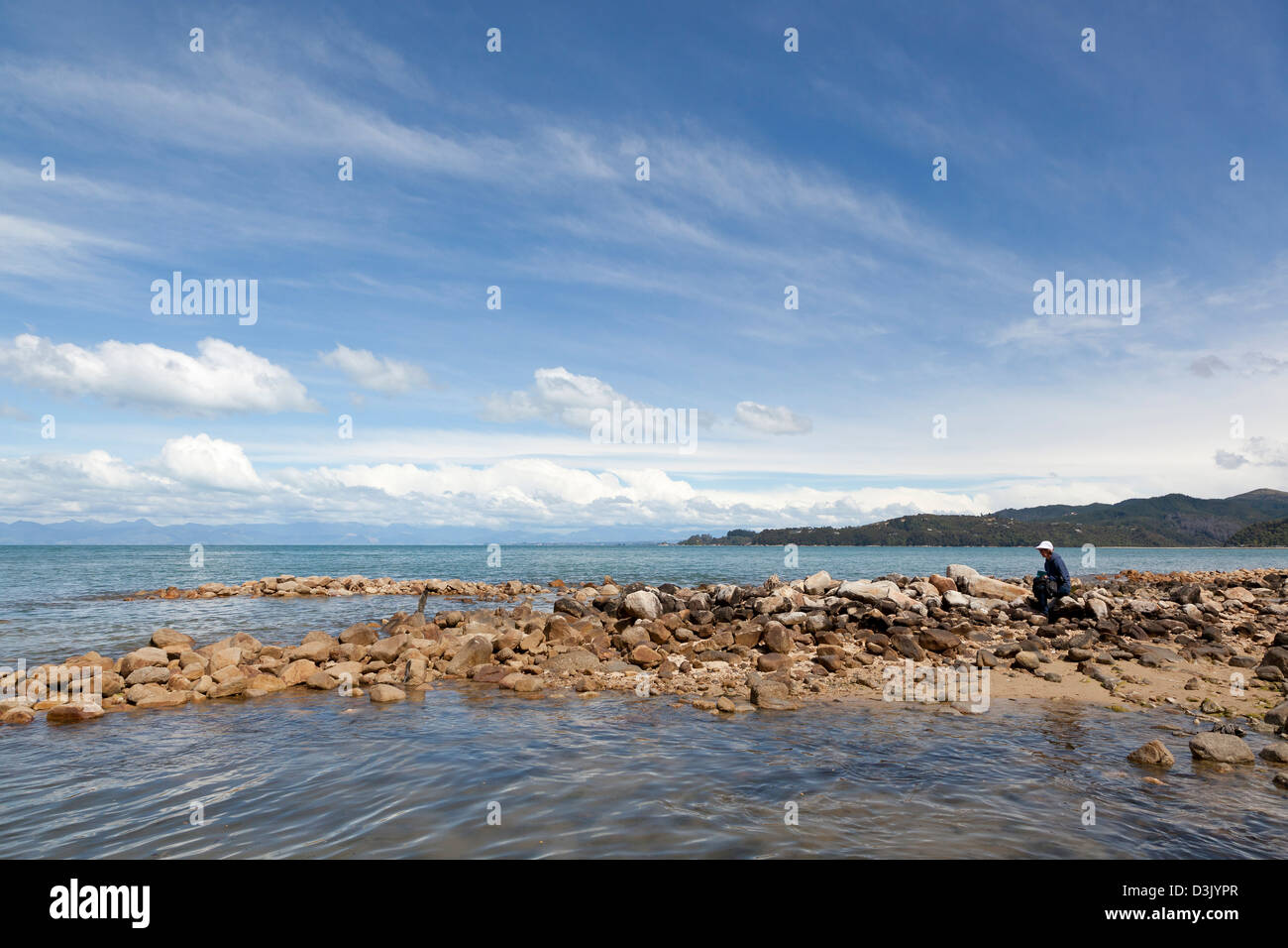 Beach in Abel Tasman National Park, New Zealand Stock Photo