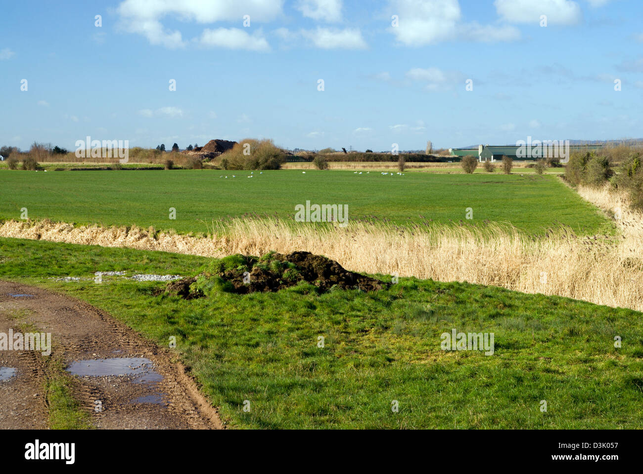gwent levels between cardiff and newport south wales uk Stock Photo