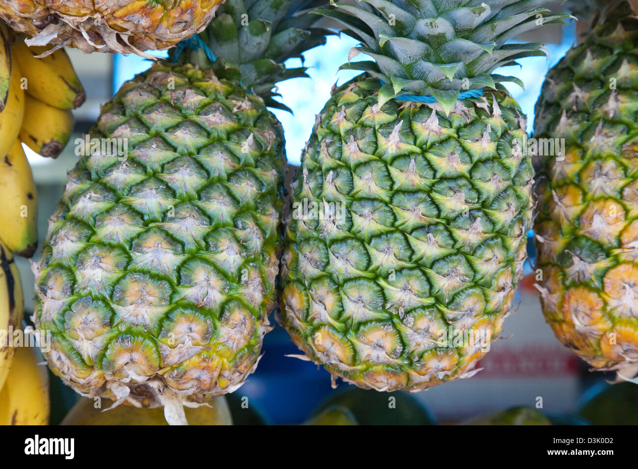 america, caribbean sea, hispaniola island, dominican republic, area of higuey, fruit shop, pineapples Stock Photo