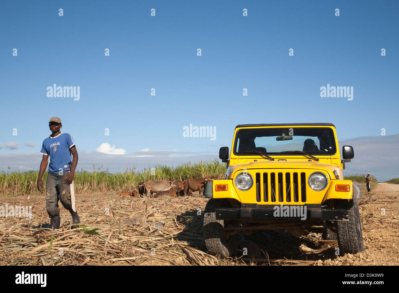 america, caribbean sea, hispaniola island, dominican republic, area of