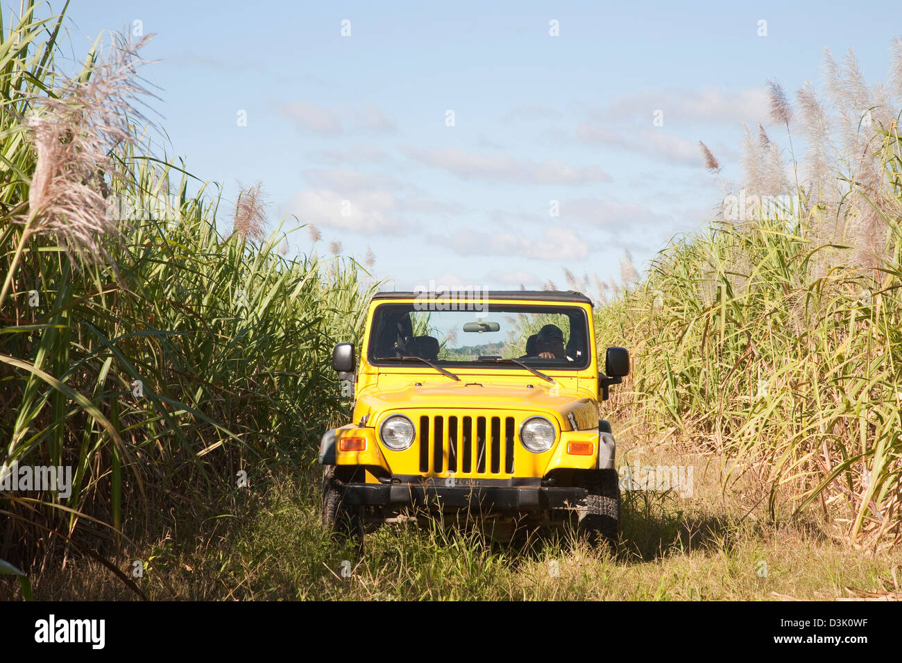 america, caribbean sea, hispaniola island, dominican republic, area of higuey, sugar cane plantation, off-road car Stock Photo