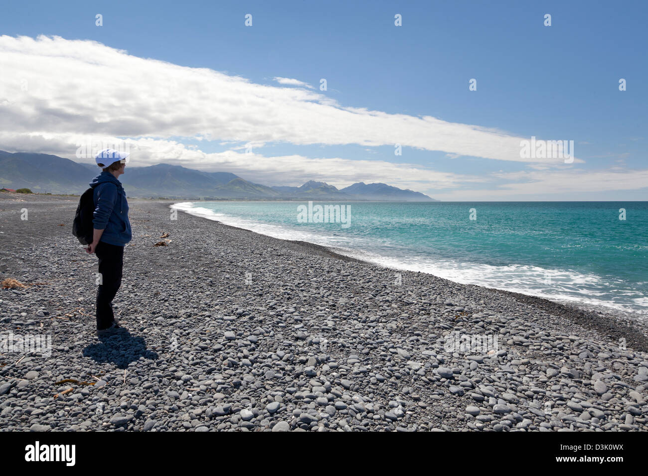 Beach at kaikoura with yellow lupins in springtime, New Zealand, Stock Photo