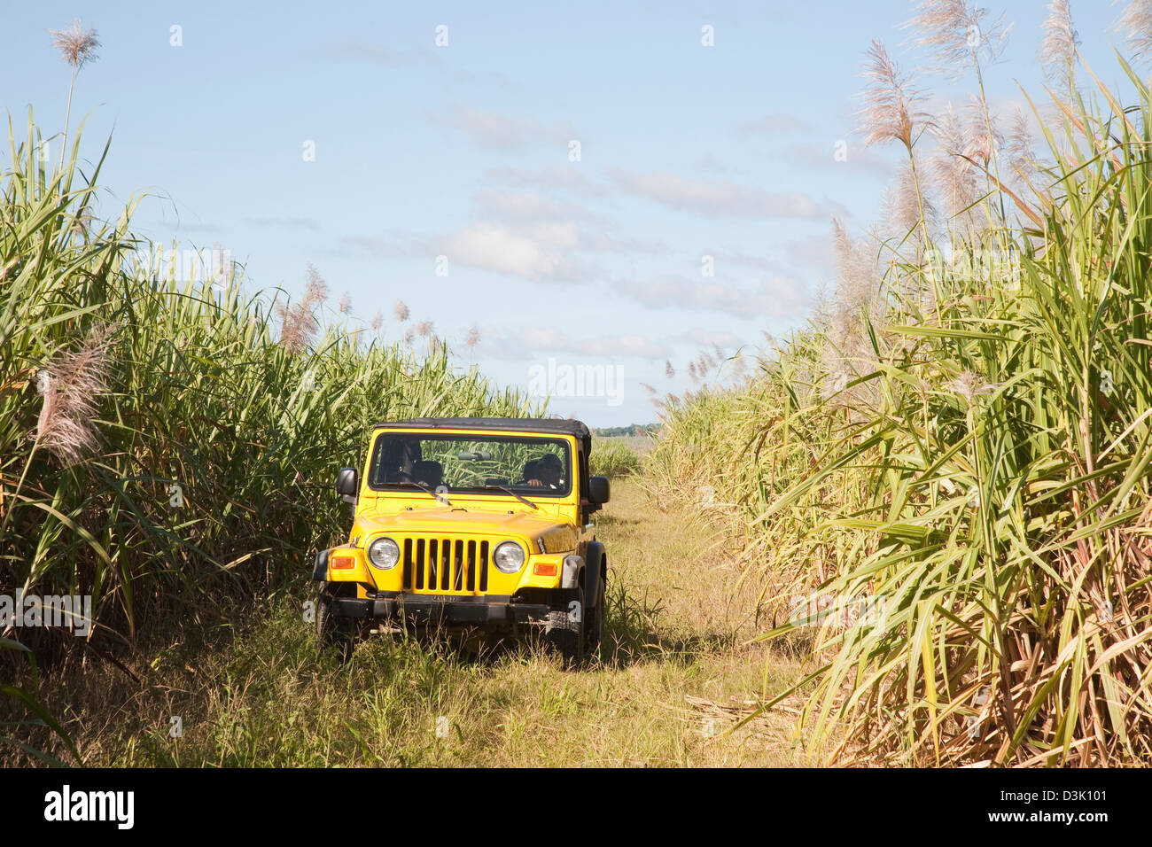 america, caribbean sea, hispaniola island, dominican republic, area of higuey, sugar cane plantation, off-road car Stock Photo