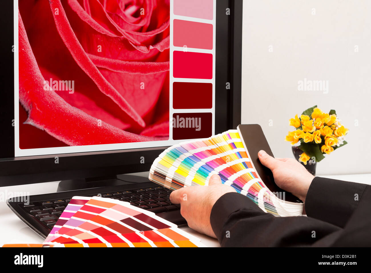 Graphic designer at work. Color samples. Red rose Stock Photo