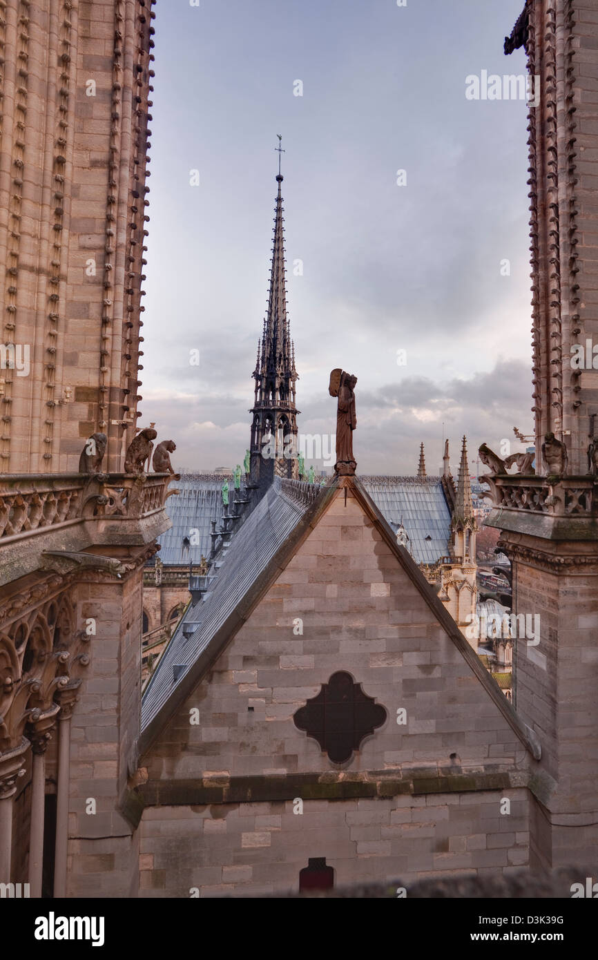 Notre dame de paris roof hi-res stock photography and images - Alamy