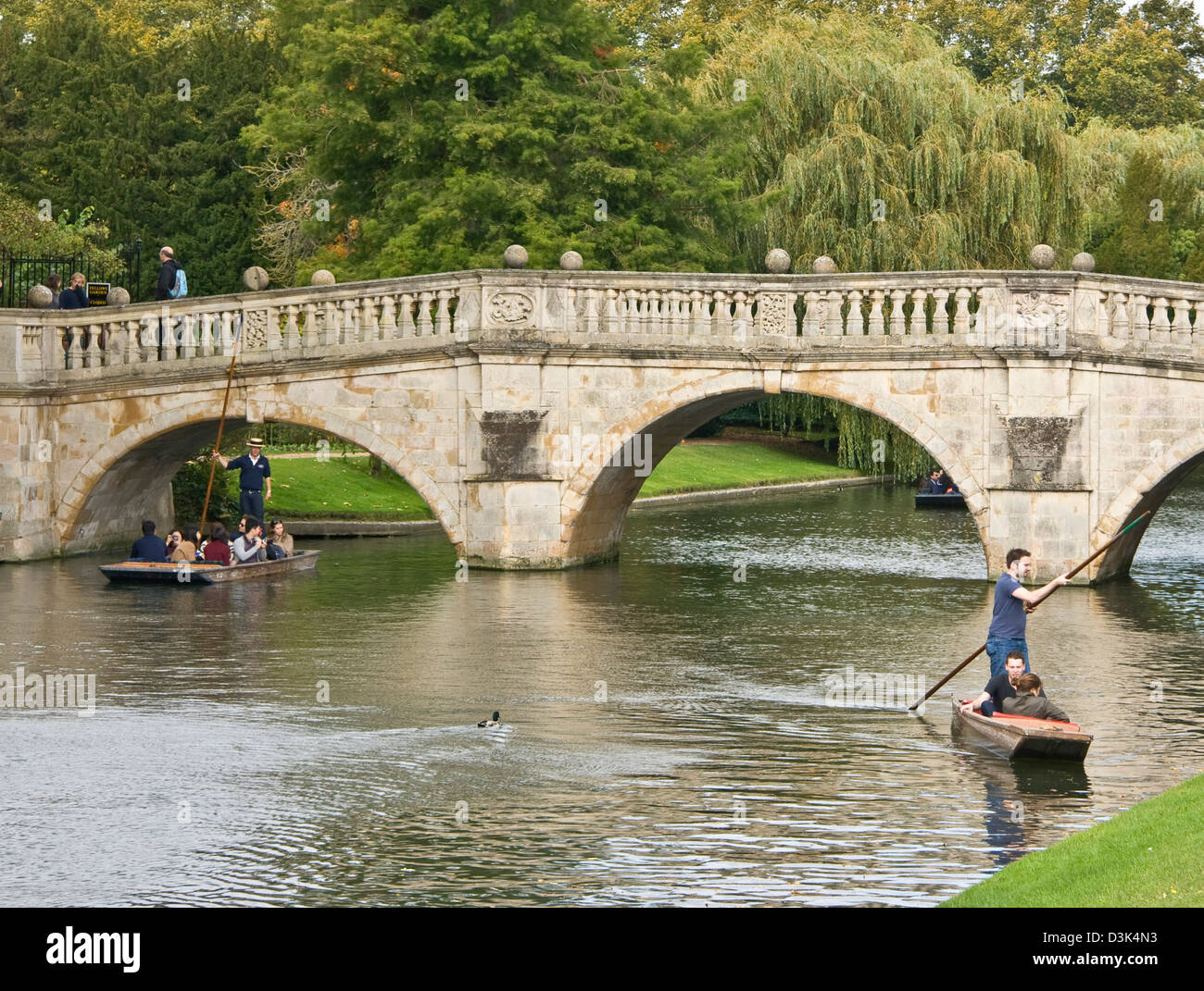 Punting on the River Cam 'The Backs' Cambridge Cambridgeshire England Europe Stock Photo