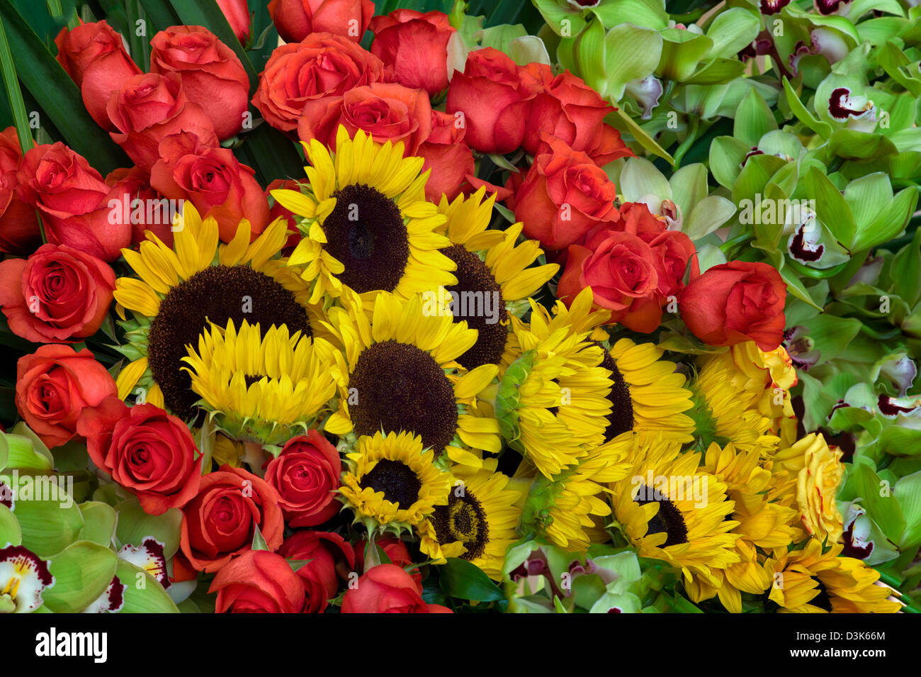 Flower display of sunflowers,roses and orchids. Stock Photo