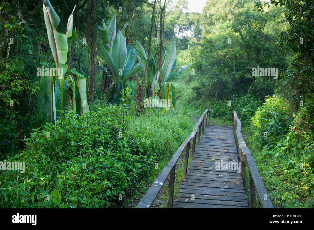 Walkway, Saiwa Swamp National Park, Kenya Stock Photo