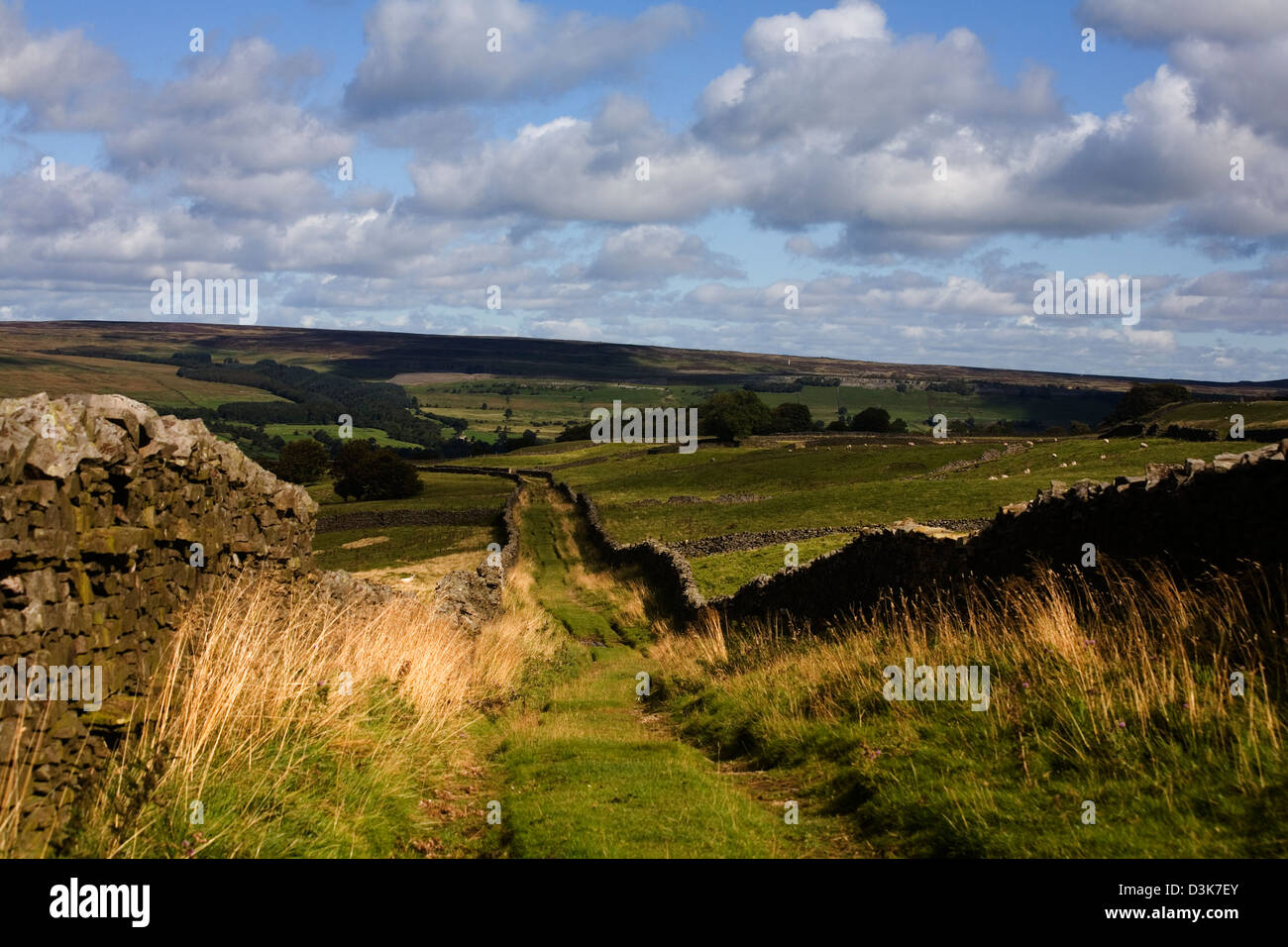 West Witton High Resolution Stock Photography and Images - Alamy