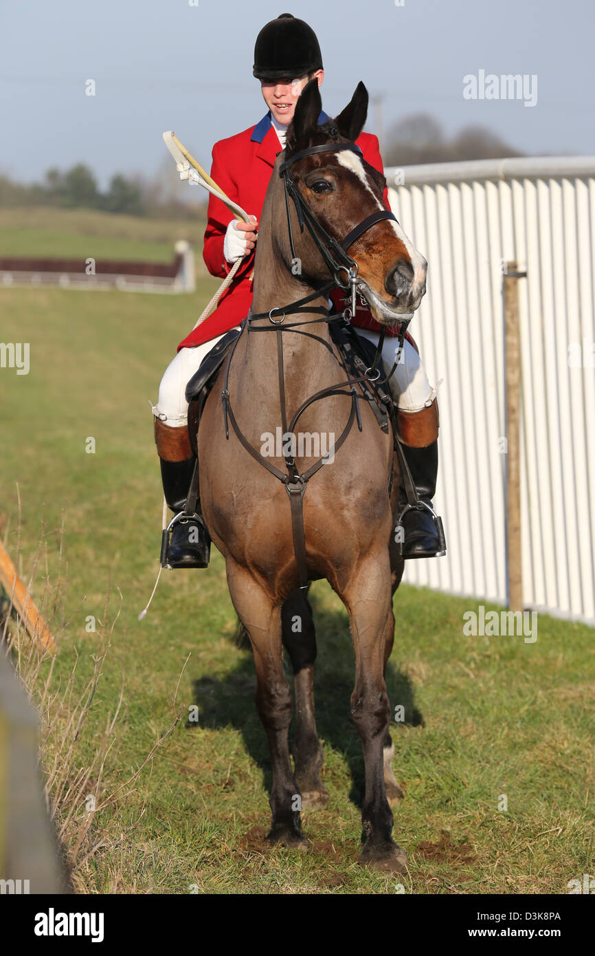 Foxhunter on horse in Red Jacket Stock Photo