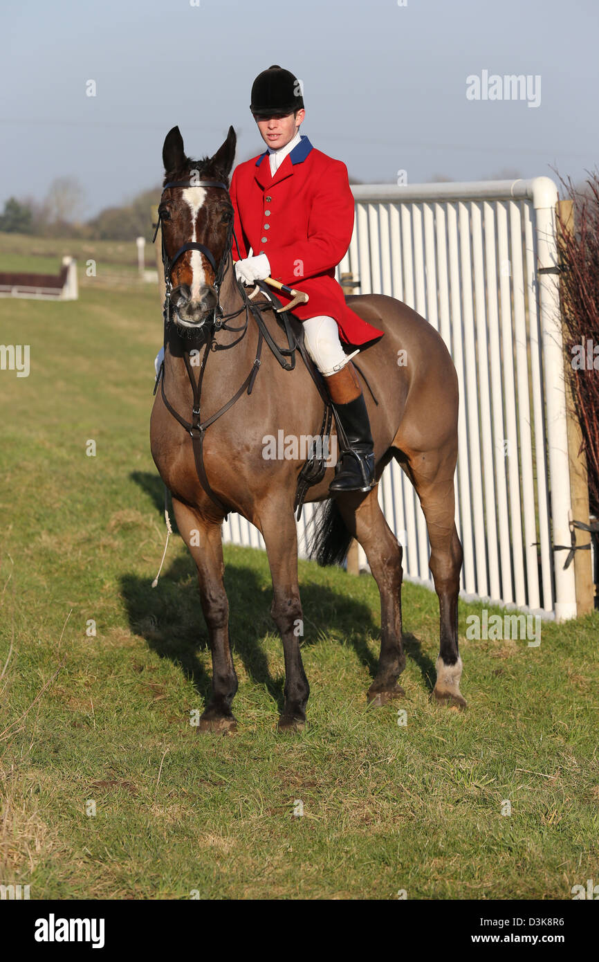 Foxhunter on horse in Red Jacket Stock Photo