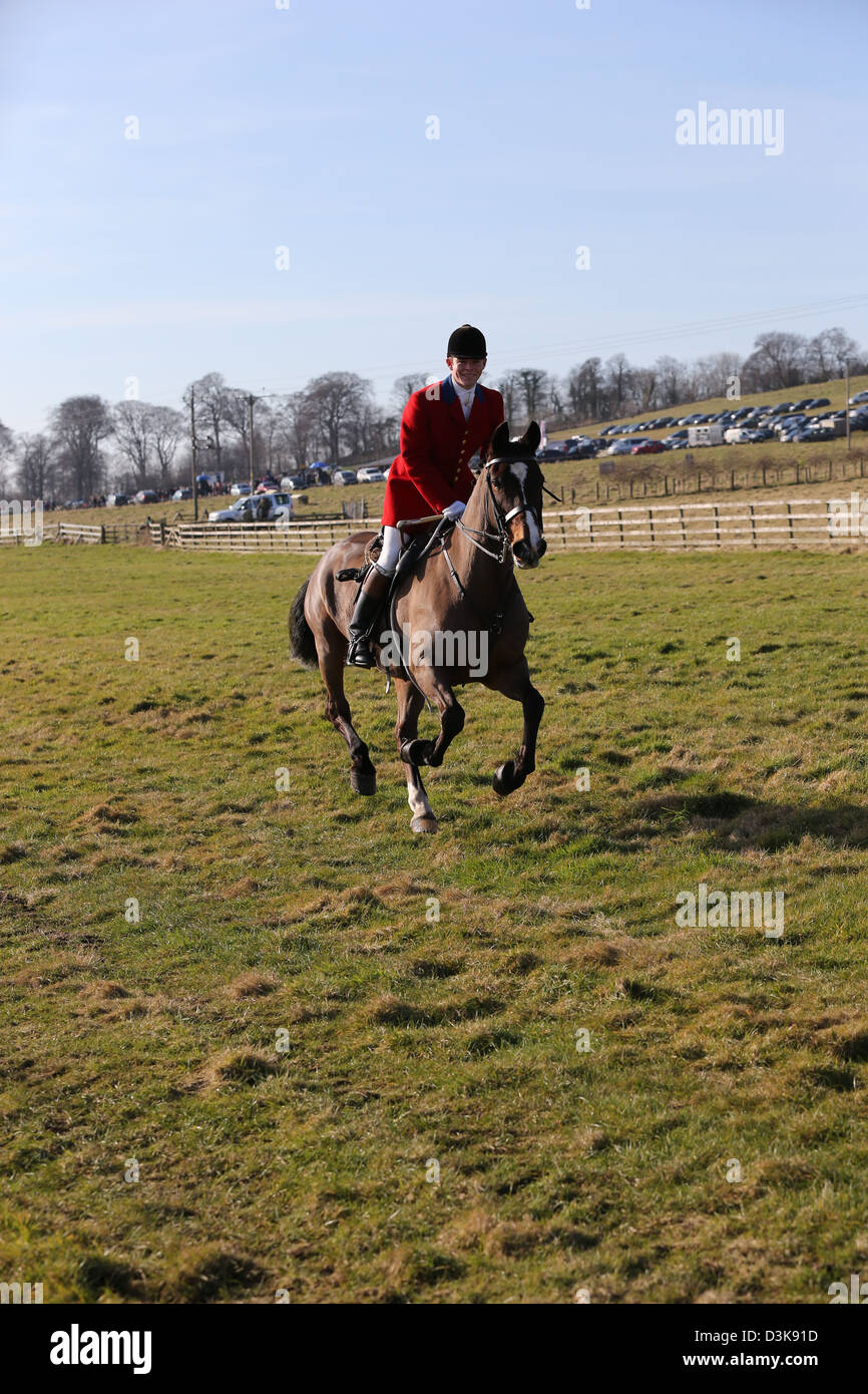 Foxhunter Horse and Rider Stock Photo