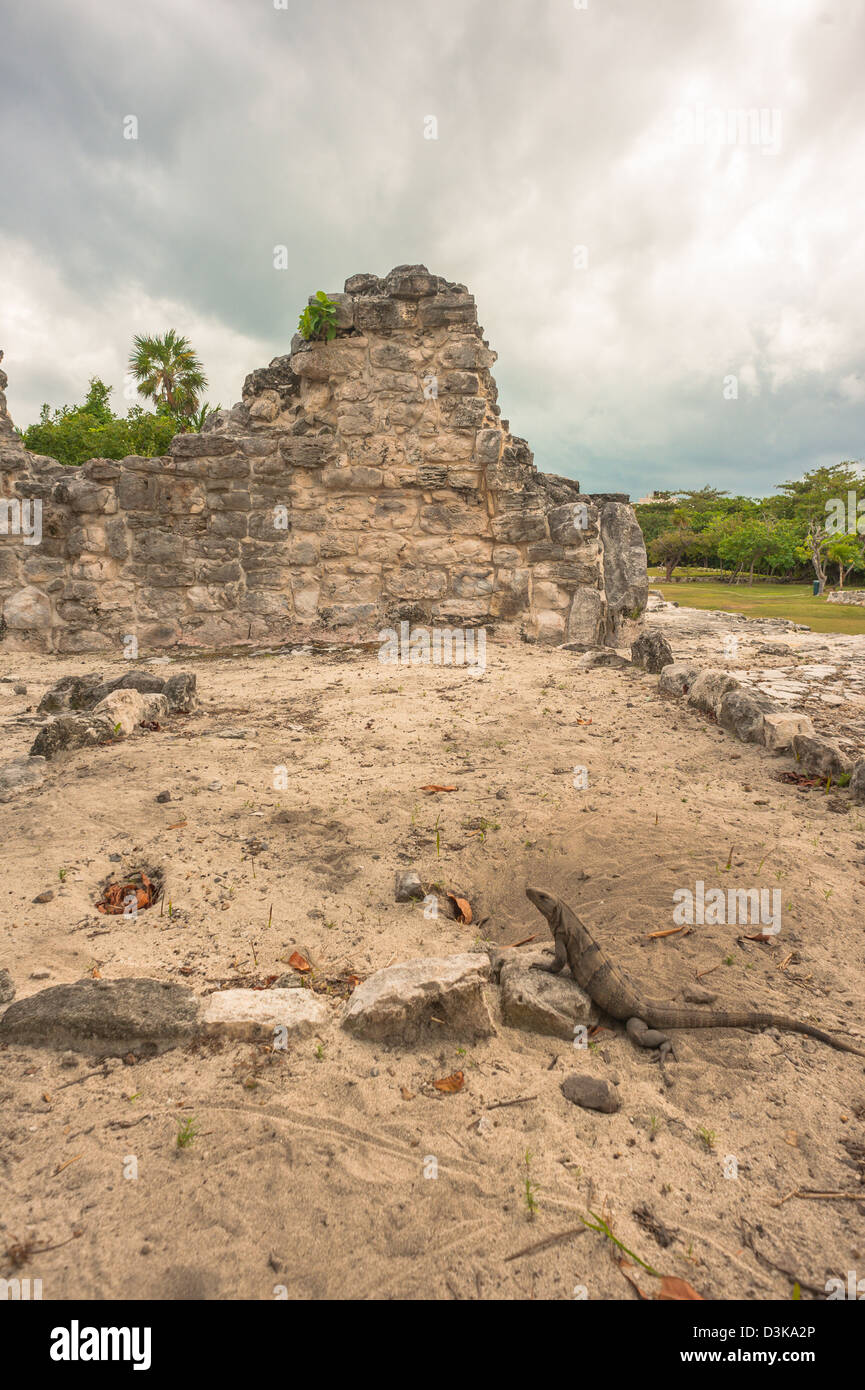 Ruins in El Rey archaeological site in Cancun, Mexico Stock Photo - Alamy