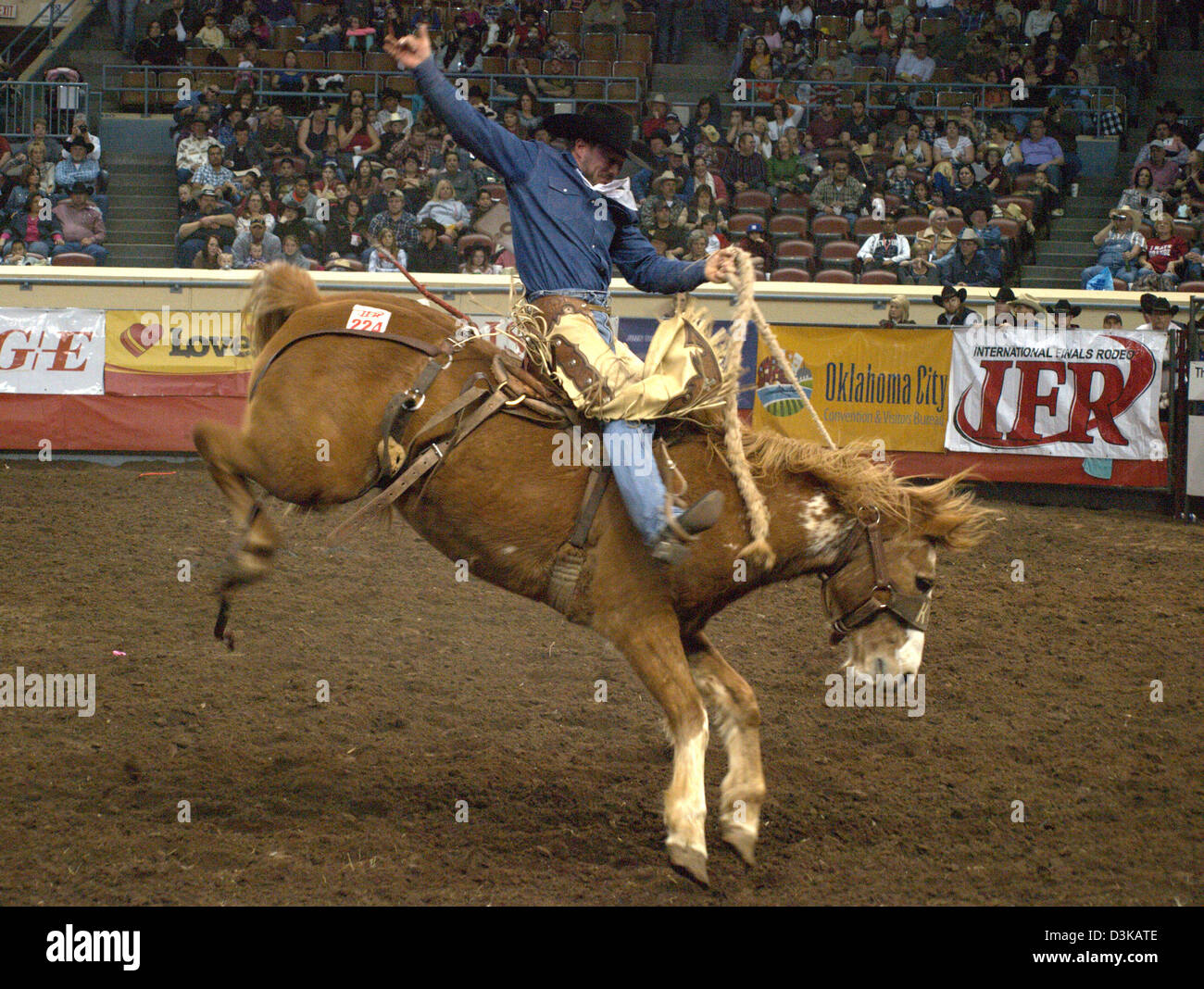 Cowboy riding bucking bronco horse during the National Finals Rodeo in
