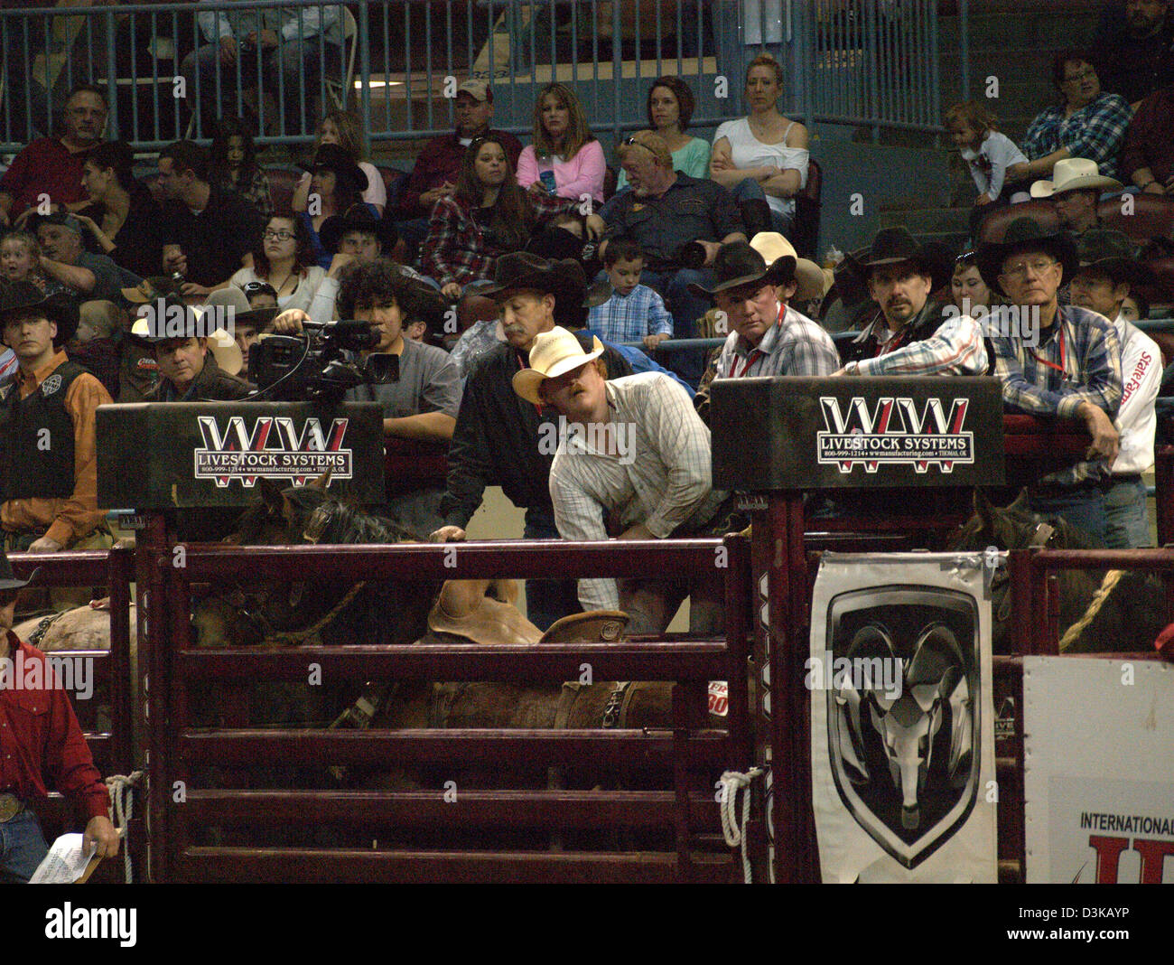 Cowboy s at the National Finals Rodeo in Oklahoma City, Oklahoma, USA Stock Photo