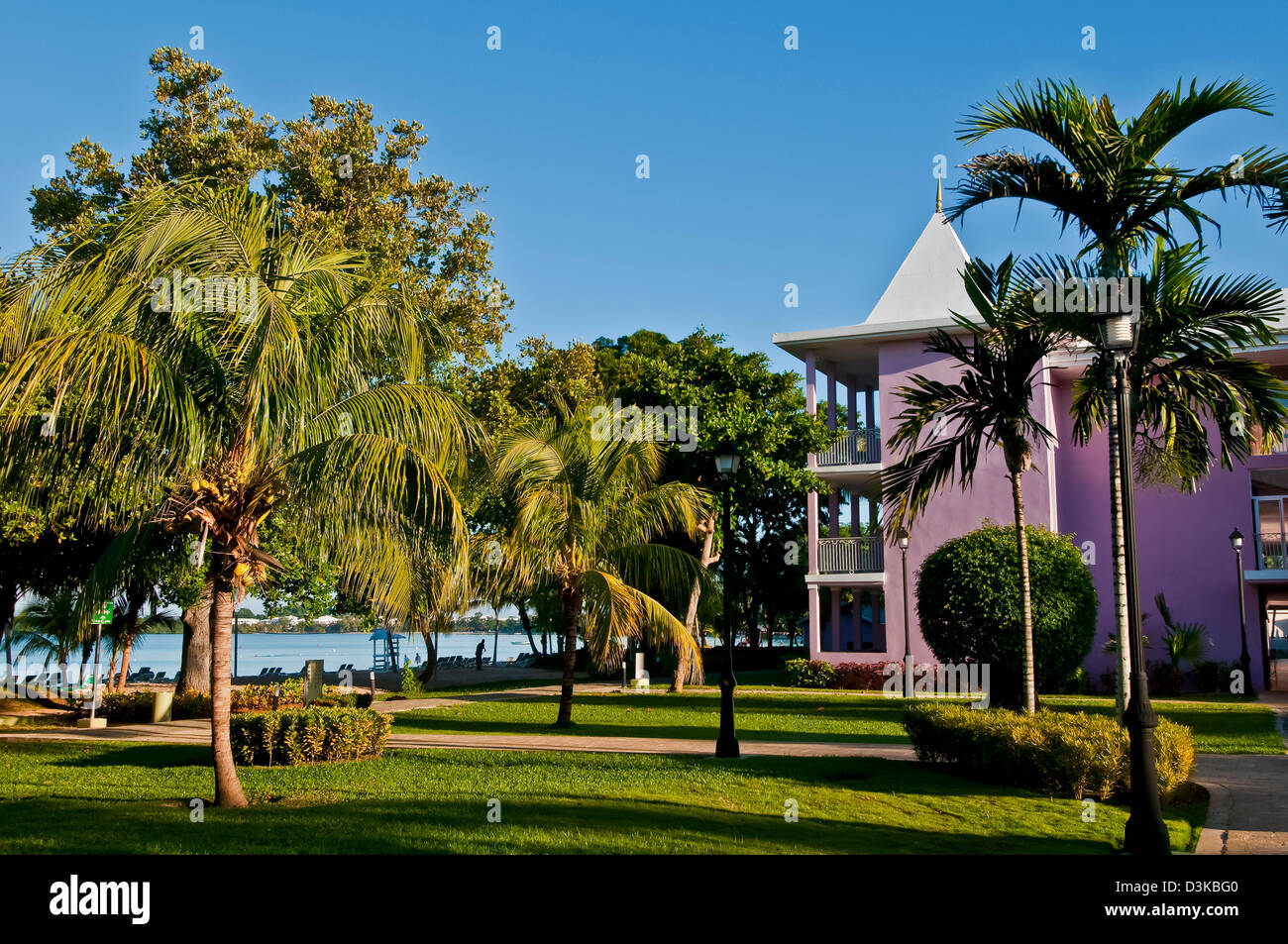 Palm trees and grounds of the Riu Palace Tropical Bay all-inclusive resort in Negril Stock Photo