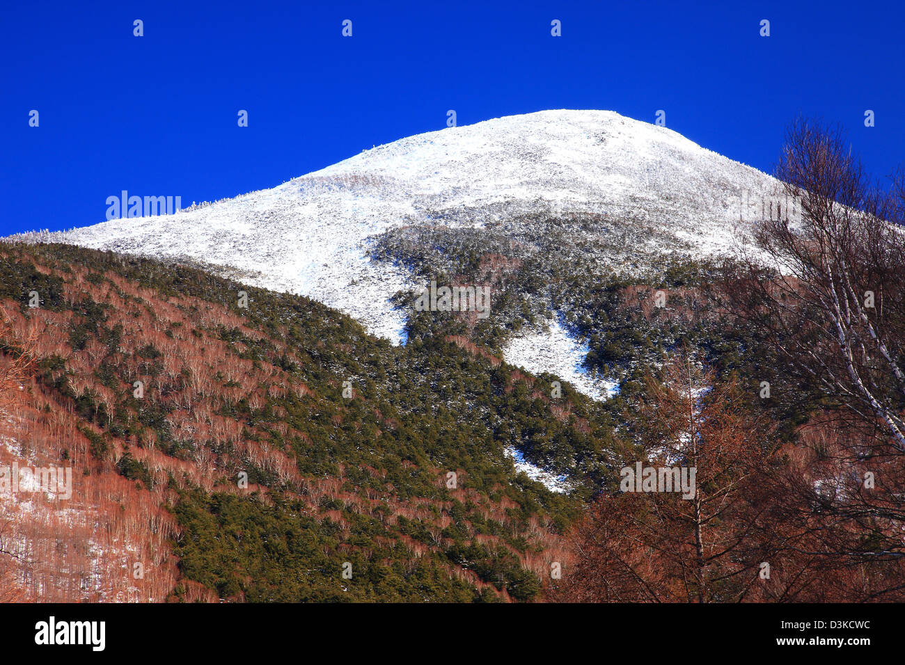 Mount Tateshina, Nagano Prefecture Stock Photo Alamy