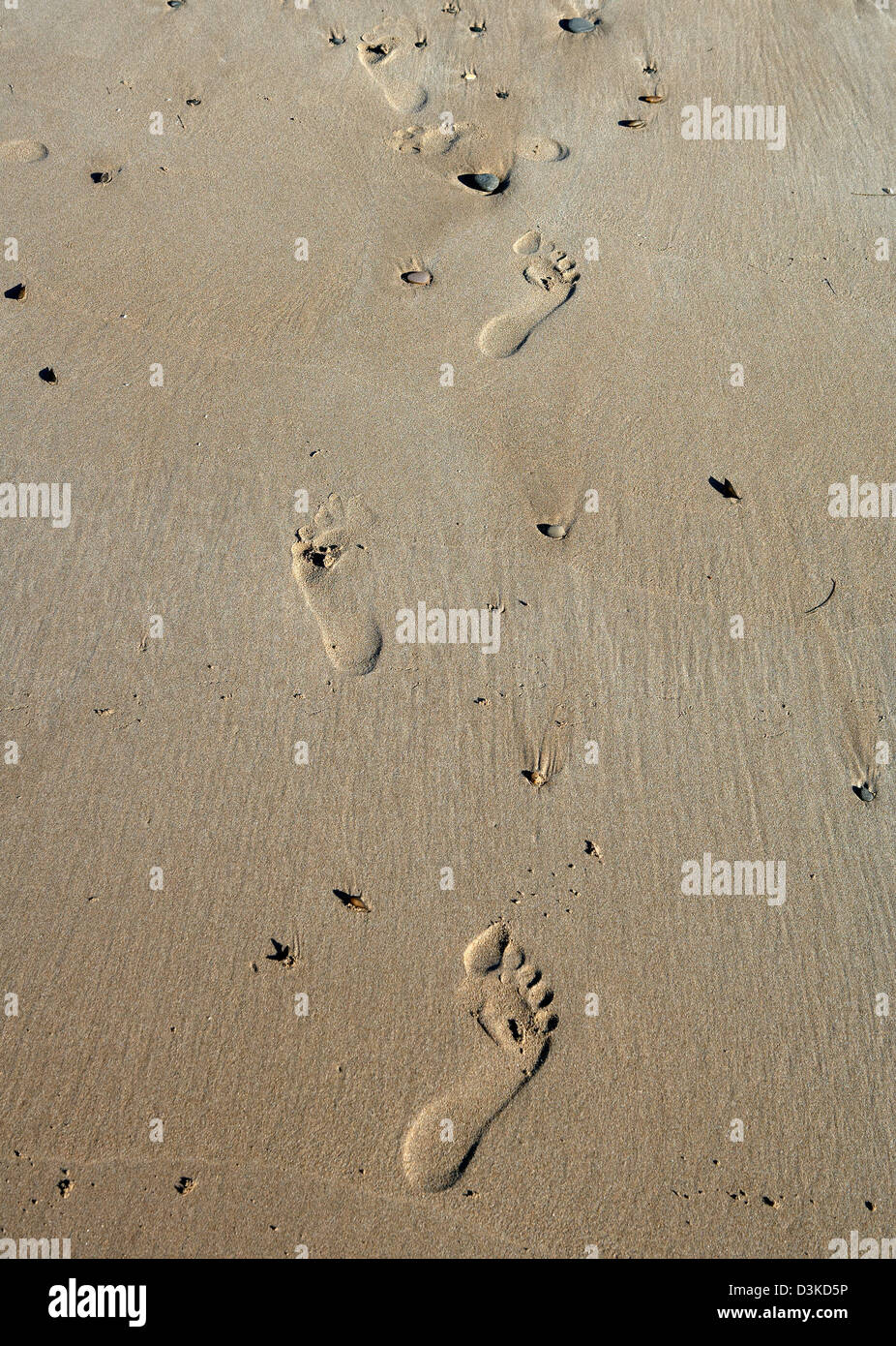 Apollo Bay, Australia, footprints in the sand beach Stock Photo - Alamy