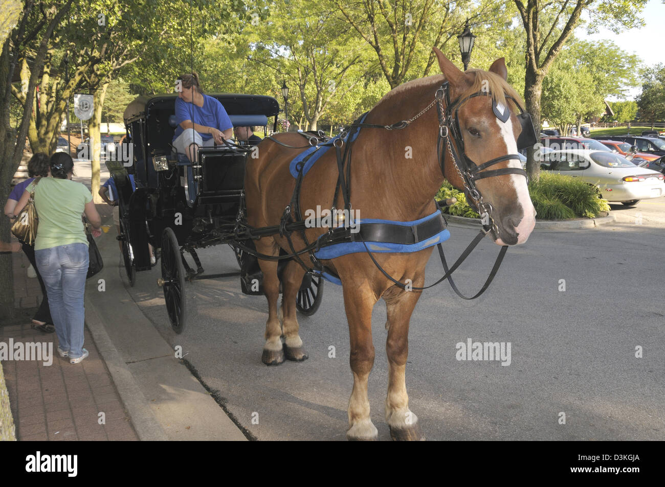Horse drawn carriage in frankenmuth hires stock photography and images
