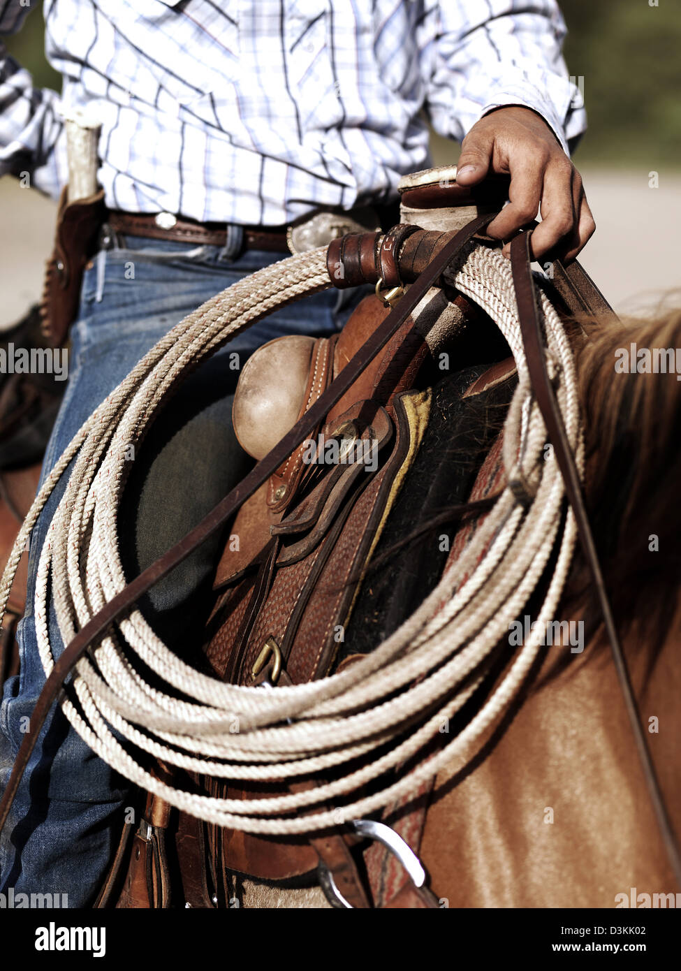 Cowboy on horseback with lasso, Montana, USA Stock Photo