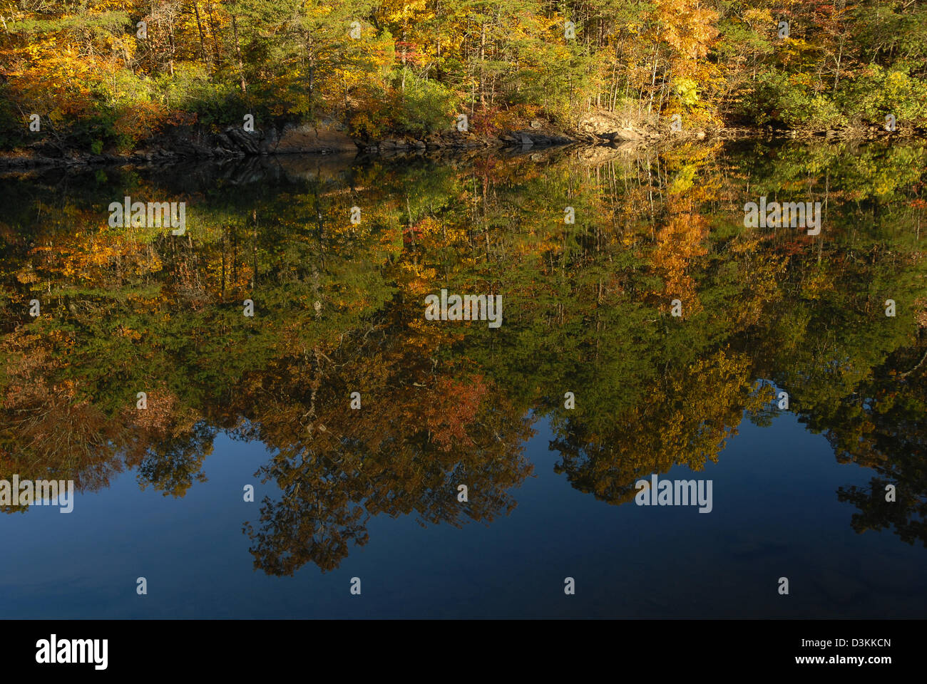 The colors of Fall reflecting in the still water of Lake Norman in Lake Norman State Park near