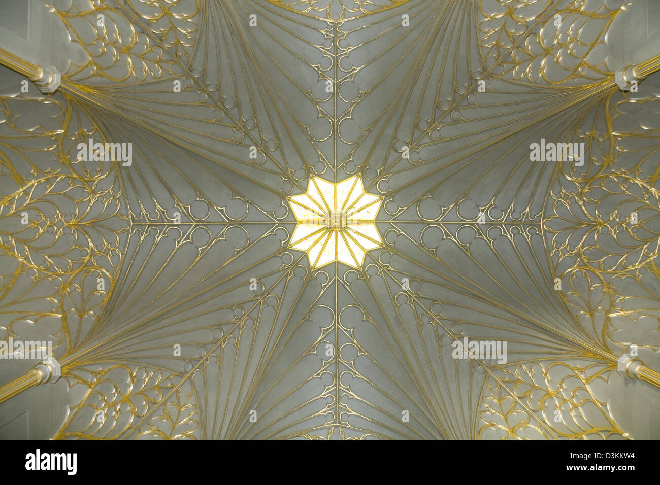 Roof / ceiling light / window in The Tribune room of restored Strawberry Hill House, Saint Mary's University, Twickenham. UK. Stock Photo