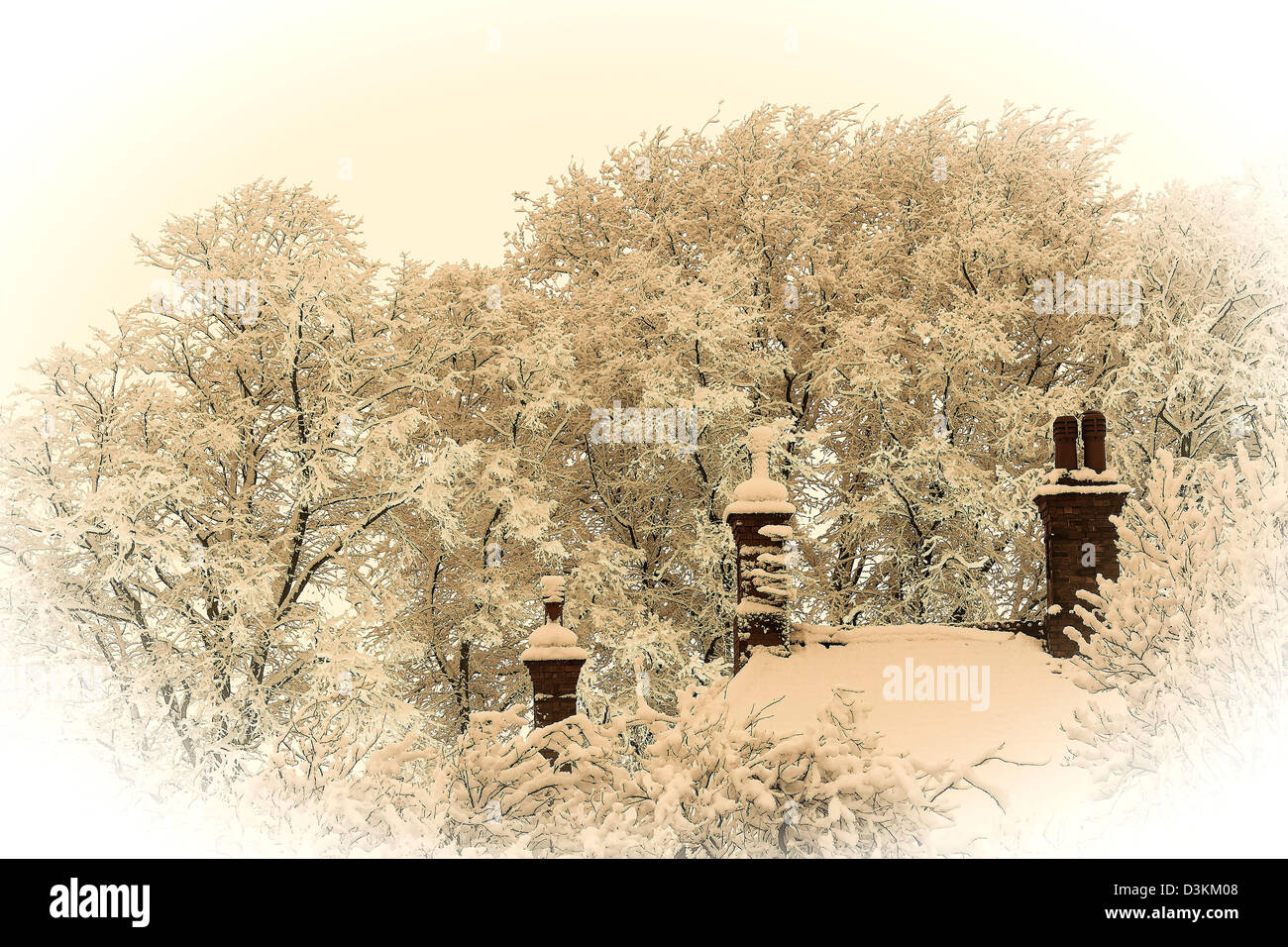 Winter scene. Dickensian image of snow covered roof, chimneys and trees in the background. Stock Photo
