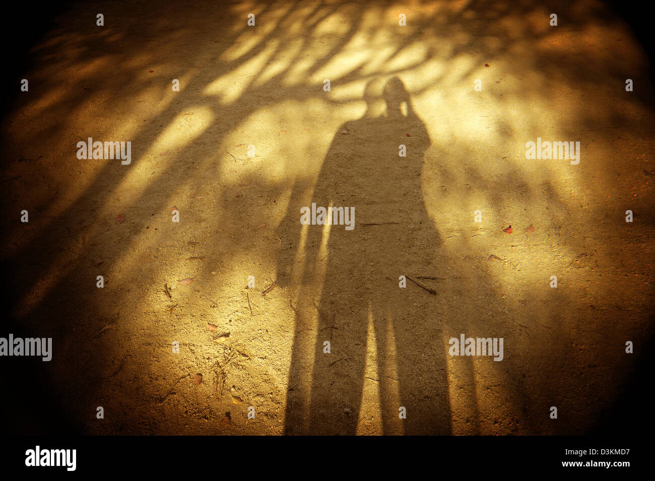 Shadows of trees and people on the ground Stock Photo - Alamy