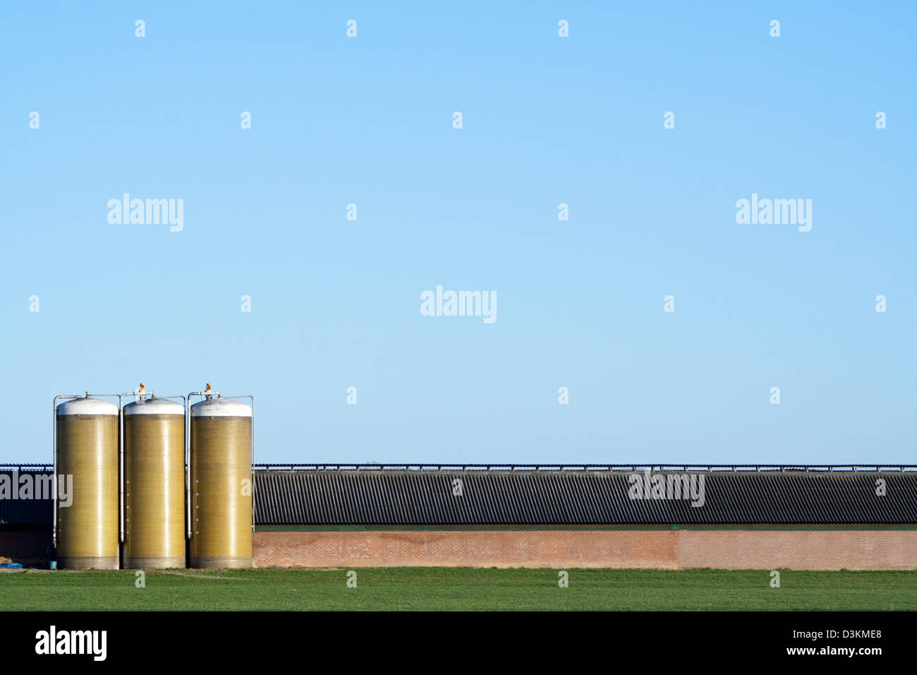 Large cowshed Stock Photo