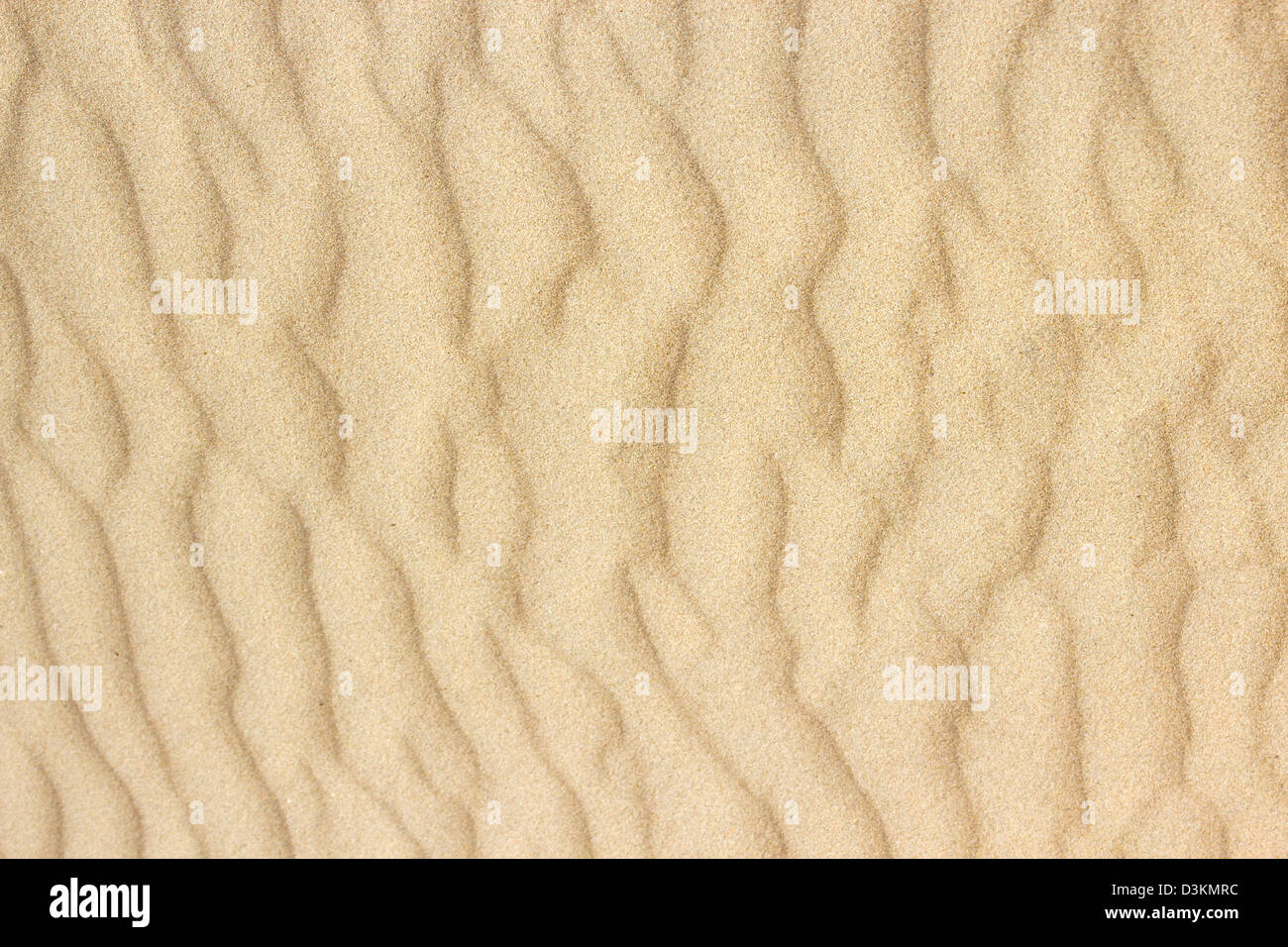 Beach sand Stock Photo