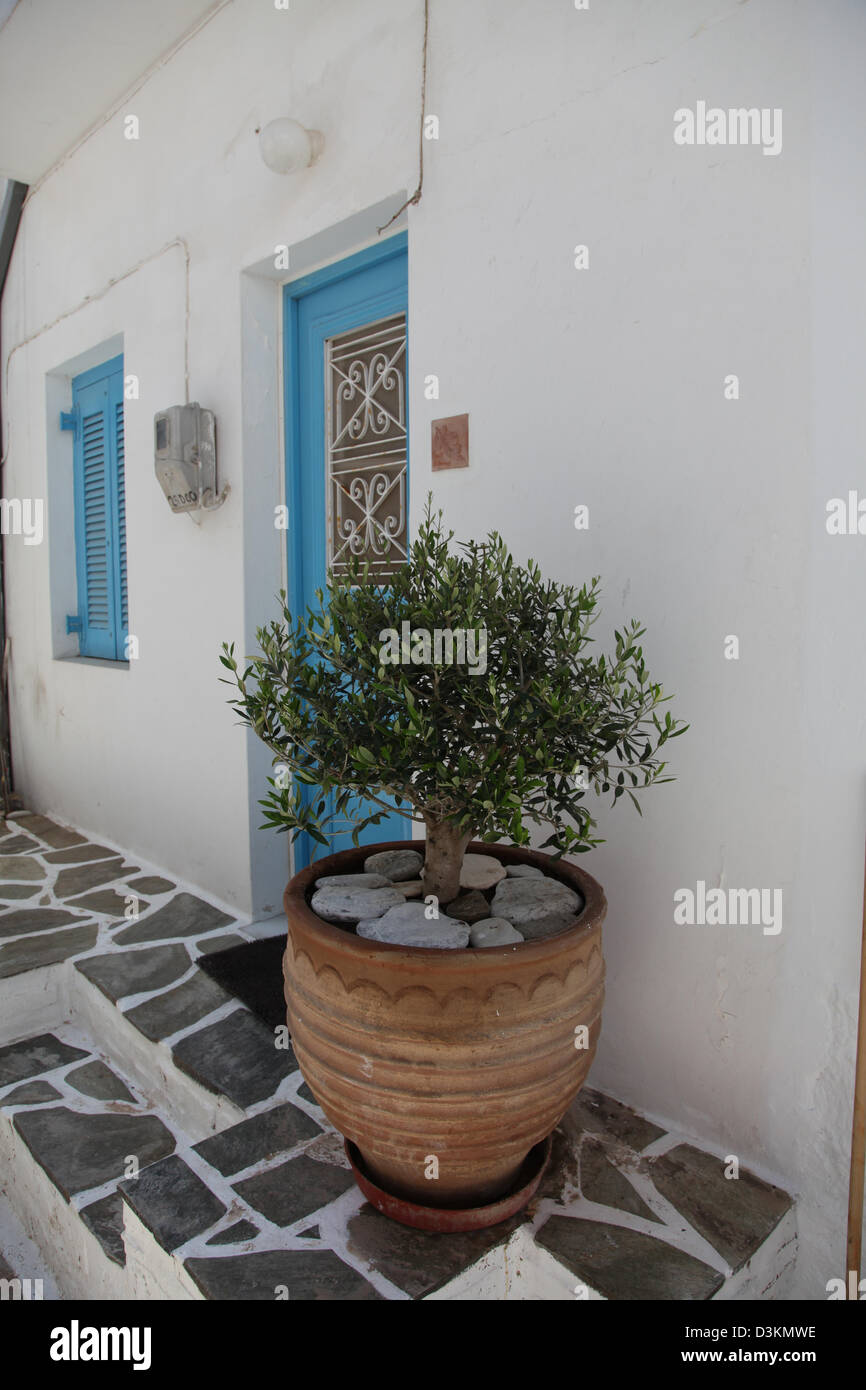 Olive tree by the window hires stock photography and images Alamy
