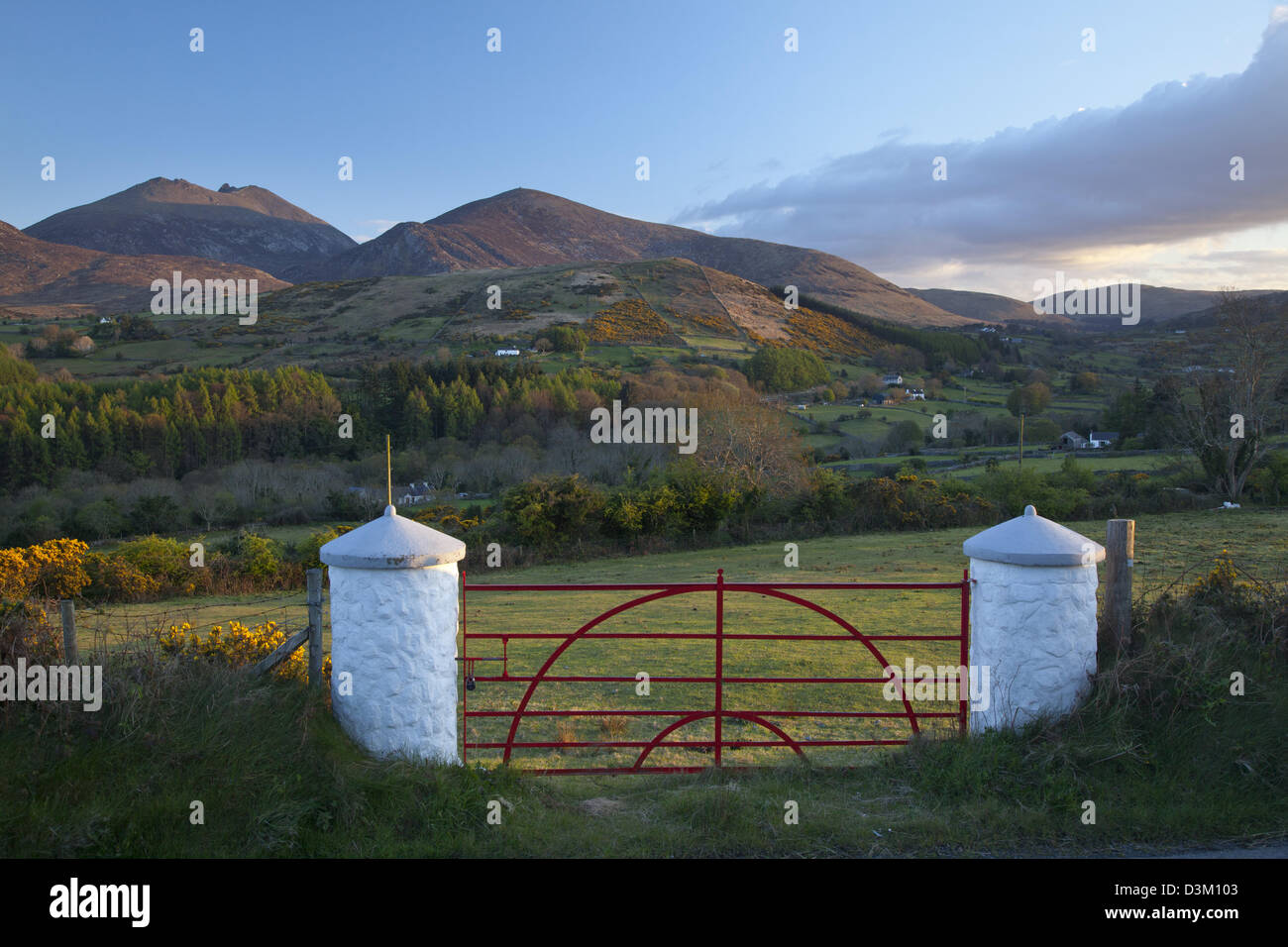 Farm gate beneath the Mourne Mountains, County Down, Northern Ireland. Stock Photo