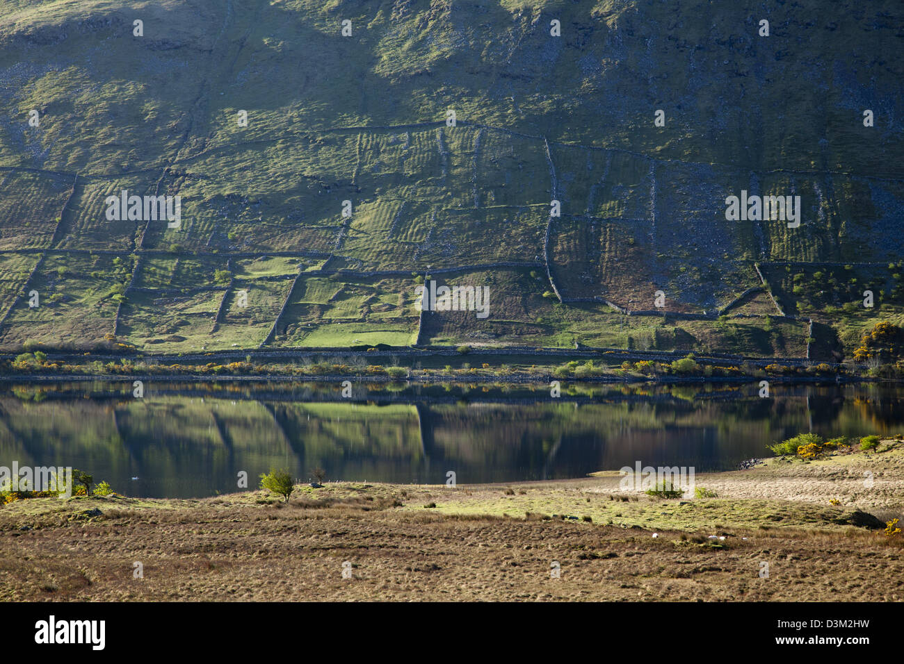 Old boundary walls and lazy beds reflected in Lough Mask, County Mayo, Ireland. Stock Photo