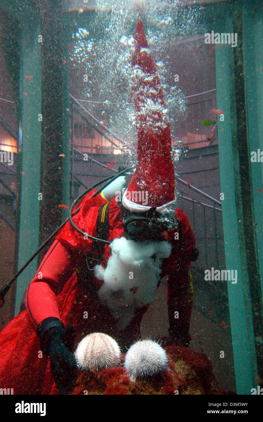 (dpa) Gerd Meurs, Head of the national park centre Multimar tideland forum in Toenning, dives