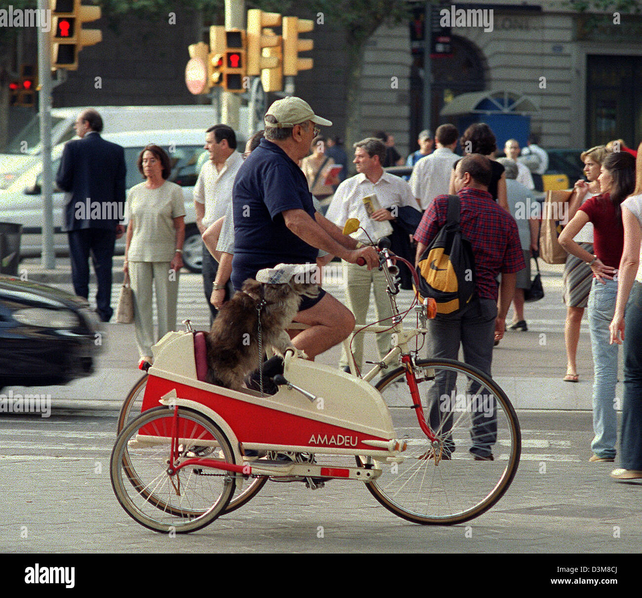 (dpa file) - A dog takes a ride in a bicycle sidecar at the Passeig de Gracia in Barcelona, Spain, 19 June 2002. Dogs are part of Barcelona's everyday cityscape. Photo: Thorsten Lang Stock Photo