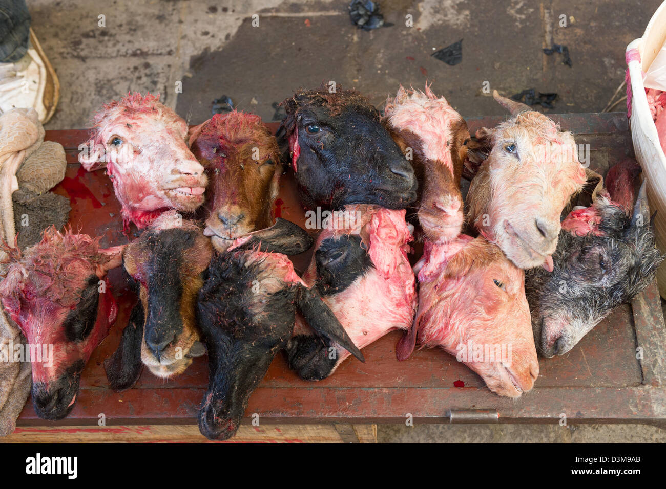 Goat Slaughter Stock Photos & Goat Slaughter Stock Images 