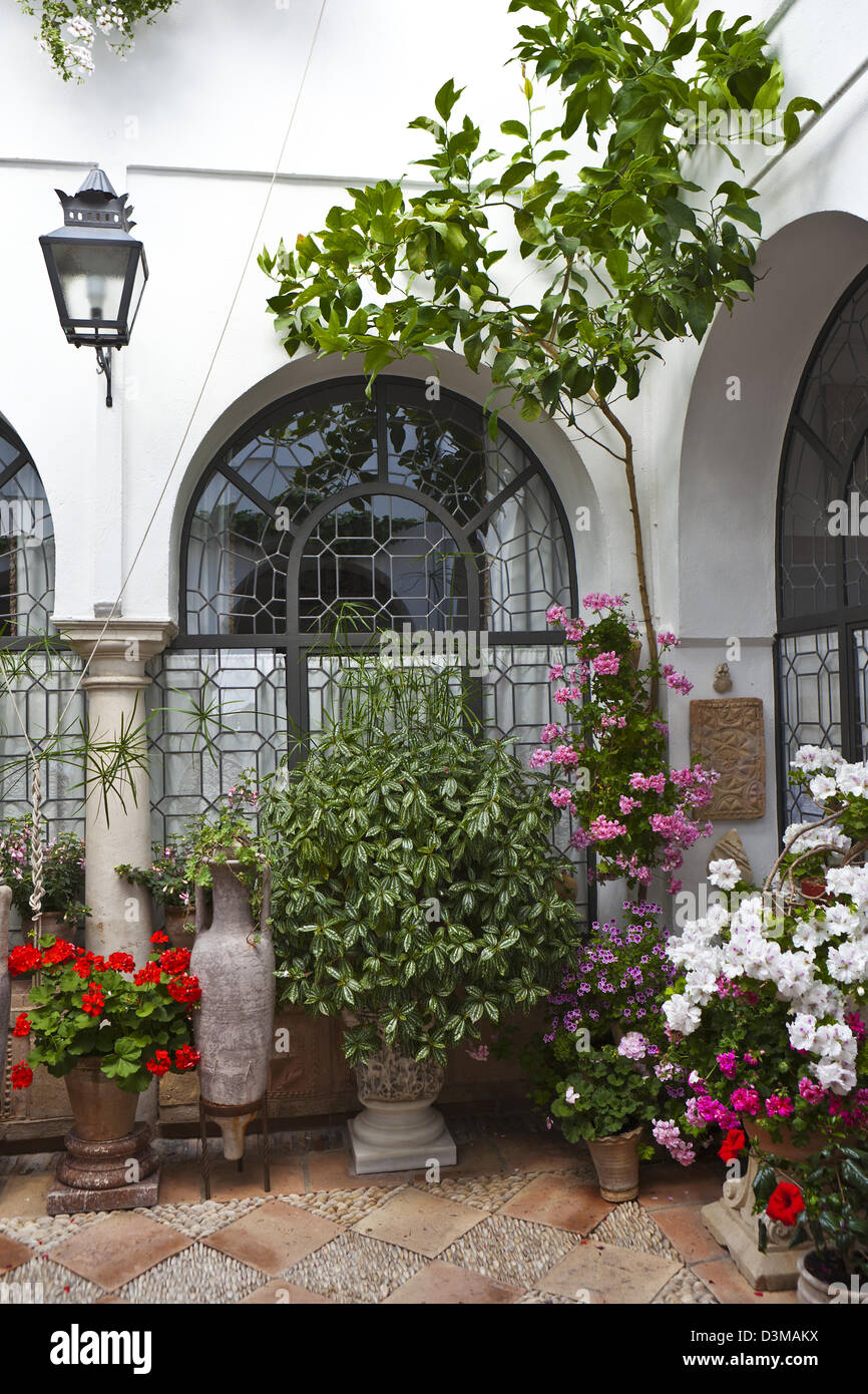 Typical andalusian patio with flowers at the festival de patios de Cordoba humanity heritage festivity in May Stock Photo