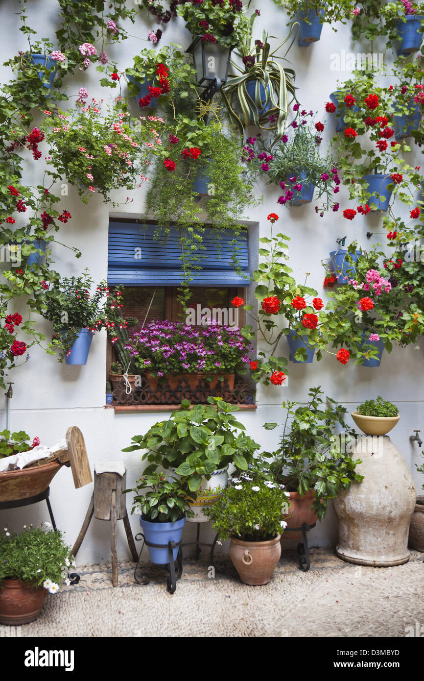 A window with  geraniums  pots in Cordoba, Andalucia  at the Festival  of Patios de Cordoba humanity heritage festivity Stock Photo