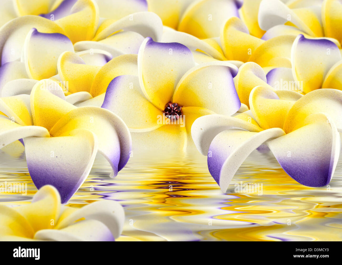 Artificial flowers with reflection as background Stock Photo - Alamy
