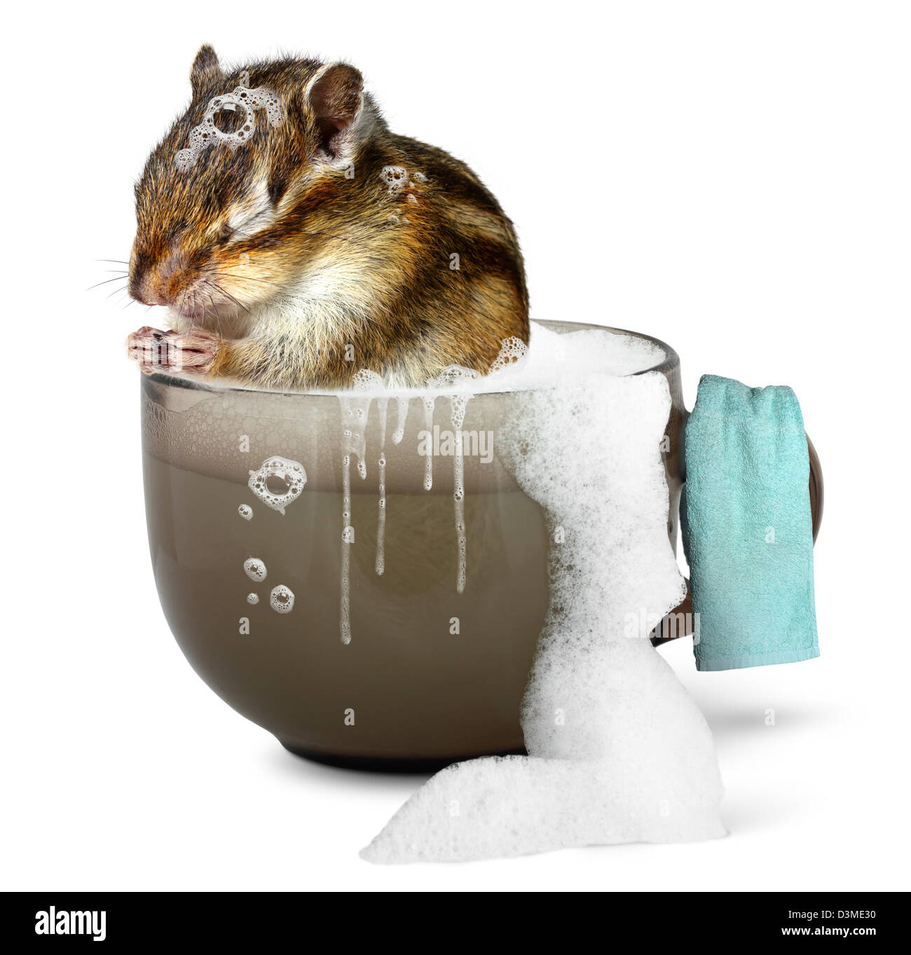 Funny chipmunk taking a bath, bathroom concept Stock Photo