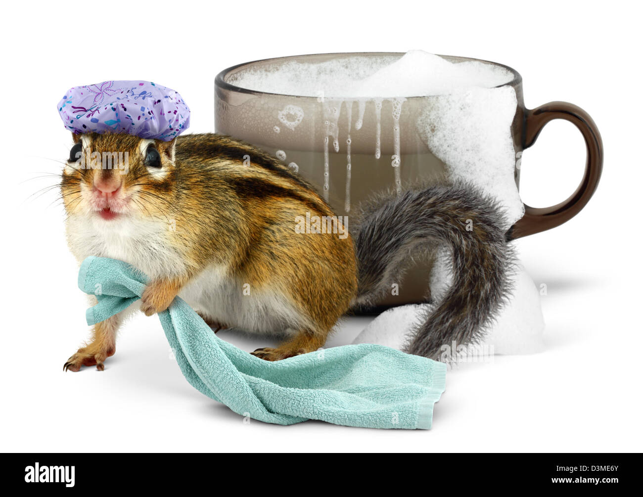 Funny chipmunk taking a bath in cup Stock Photo