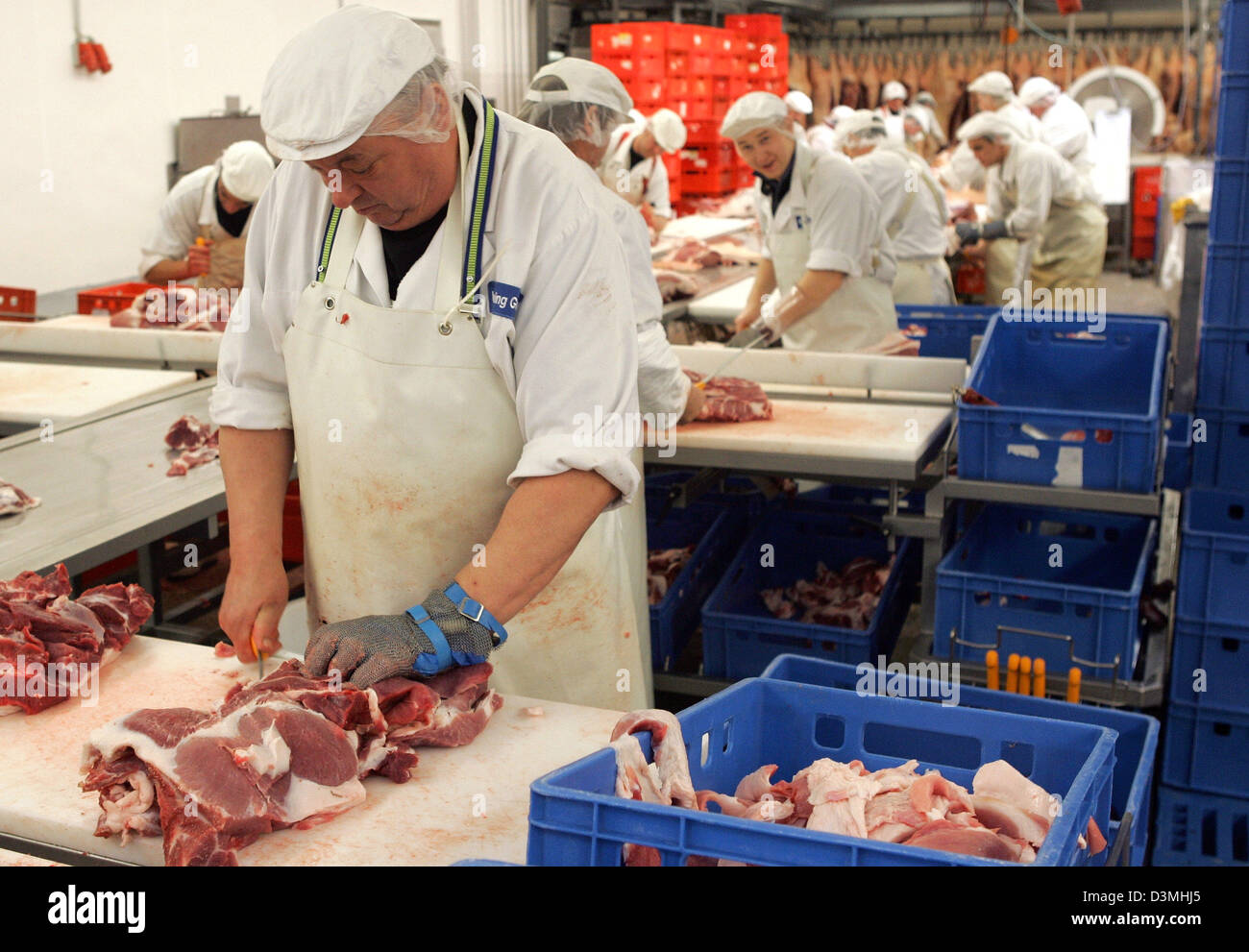 Employees of  'Ruegenwalder Muehle' prepare pork meat for the production of sausages at the company's factory site in Bad Zwischenahn, Germany, Thursday, 16 March 2006. The company makes amongst others the famous 'Teewurst' (smoked pork pate), which is a registered trademark since 1957. Photo: Ingo Wagner Stock Photo
