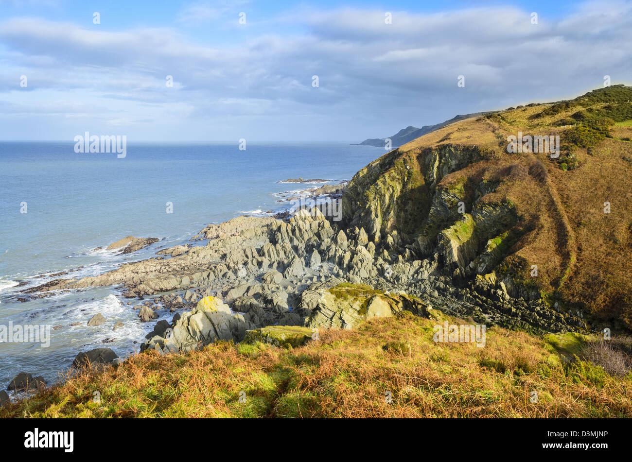Damagehue Rock on the North Devon coastline between Lee and Bull Point near Ilfracombe, England Stock Photo
