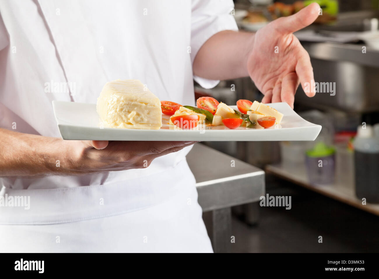 Chef Presenting Dish In Kitchen Stock Photo