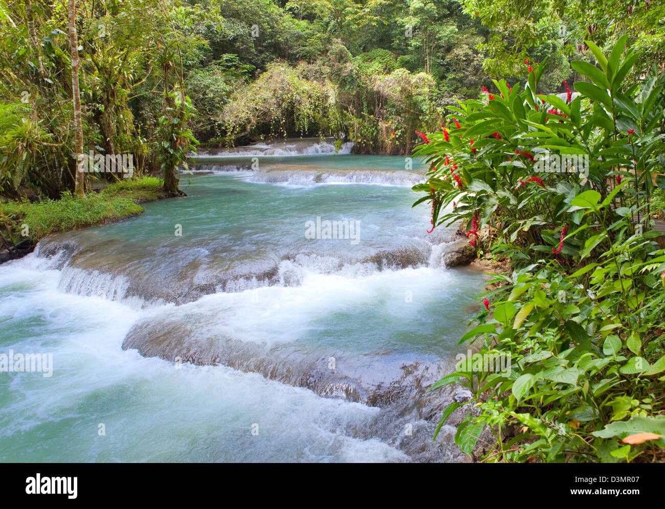 Jamaica. Dunn's River waterfalls Stock Photo