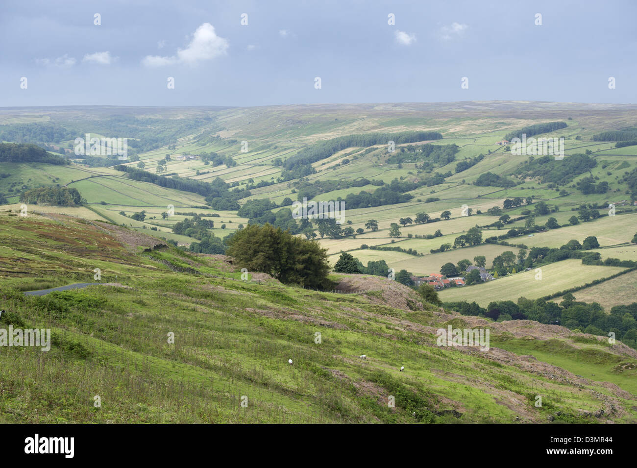 The view from Chimney Bank above Rosedale in the North Yorkshire Moors