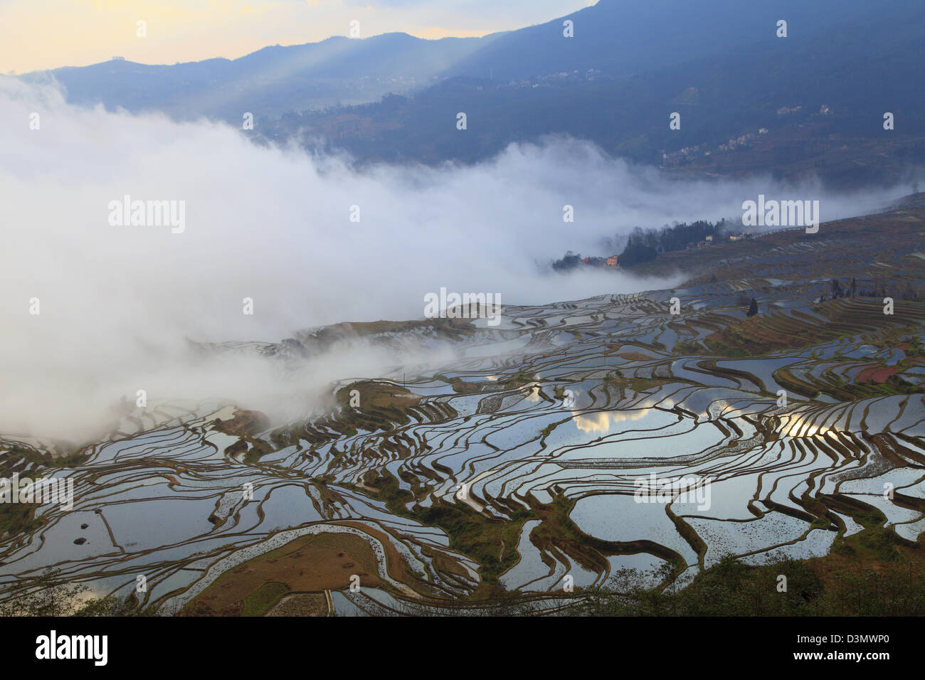 China, Yunnan, Yuanyang, Shengcun, rice terraces, Stock Photo