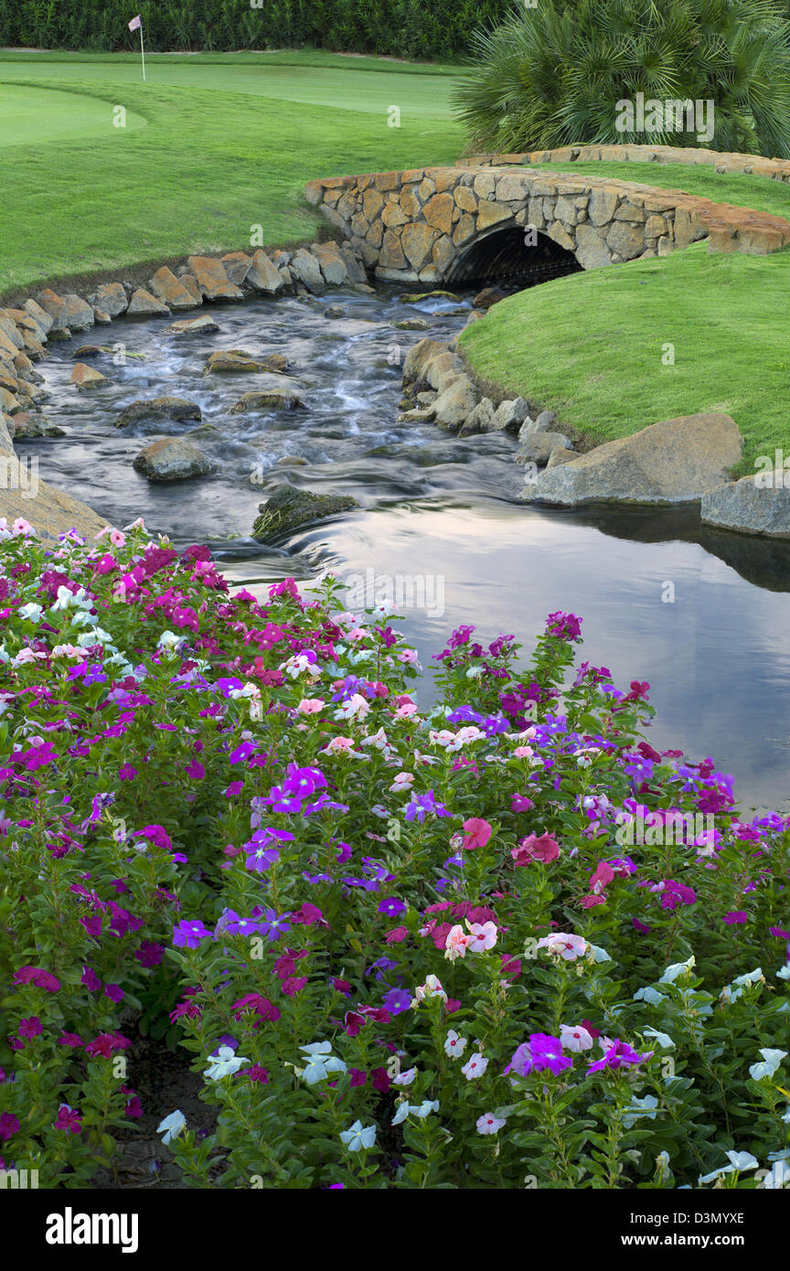 Stream and impatiens flowers with bridge at gof course. Palm desert, California Stock Photo