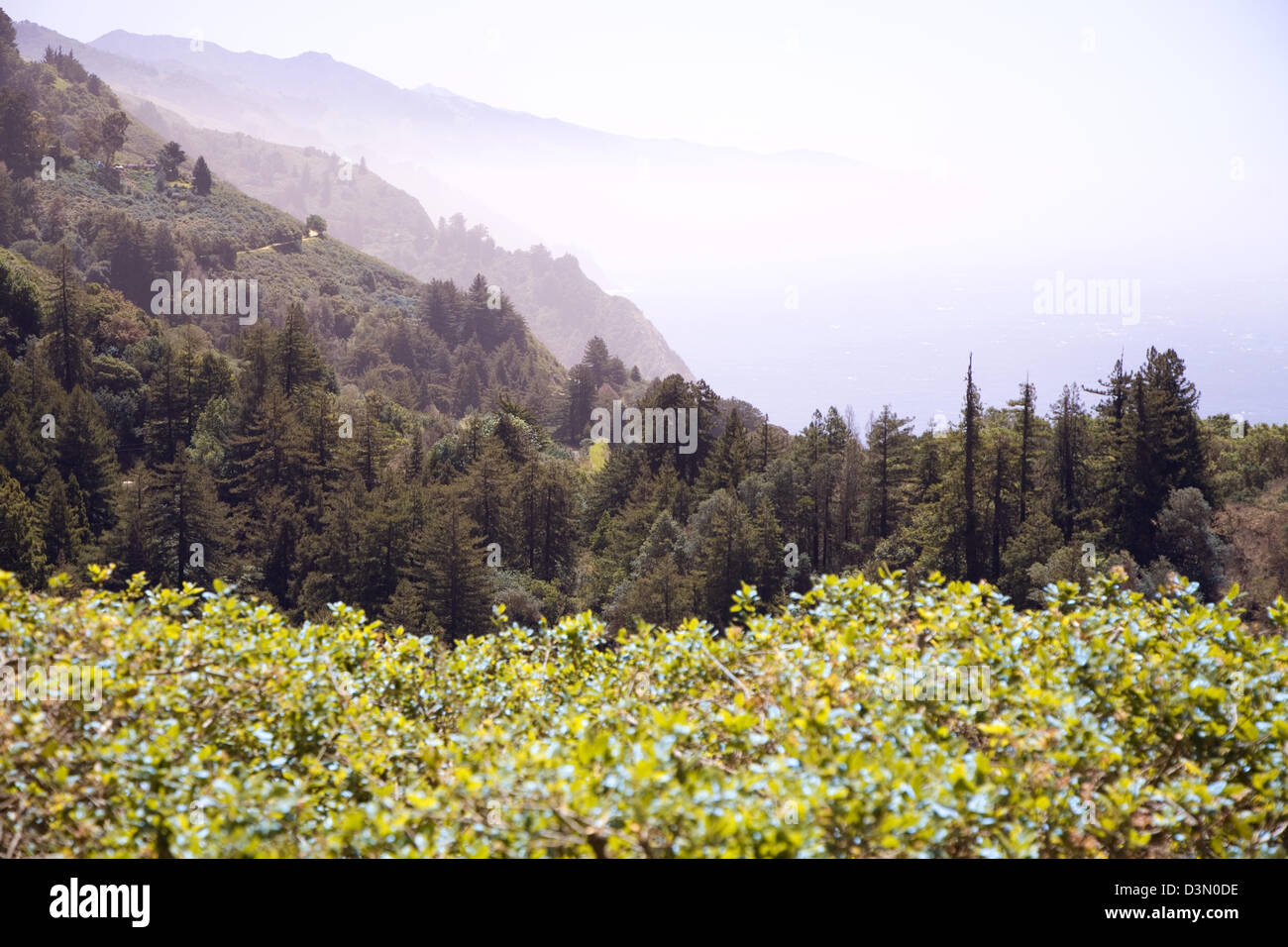 A morning fog shrouds the Big Sur coast, seen from the restaurant Nepenthe, California, USA Stock Photo