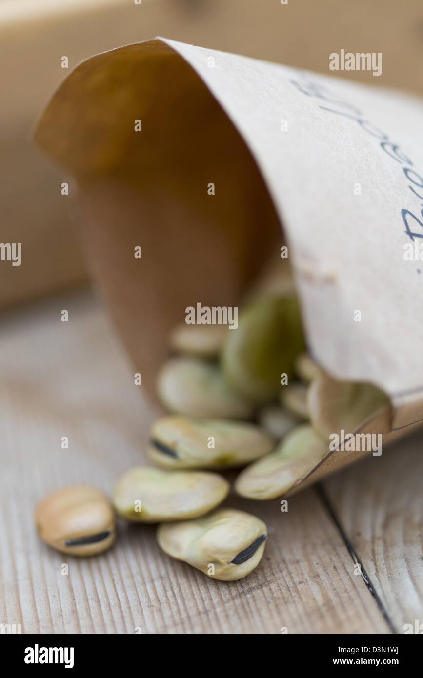 Potting bench springtime still life with saved seeds in homemade packets and gardening items Stock Photo